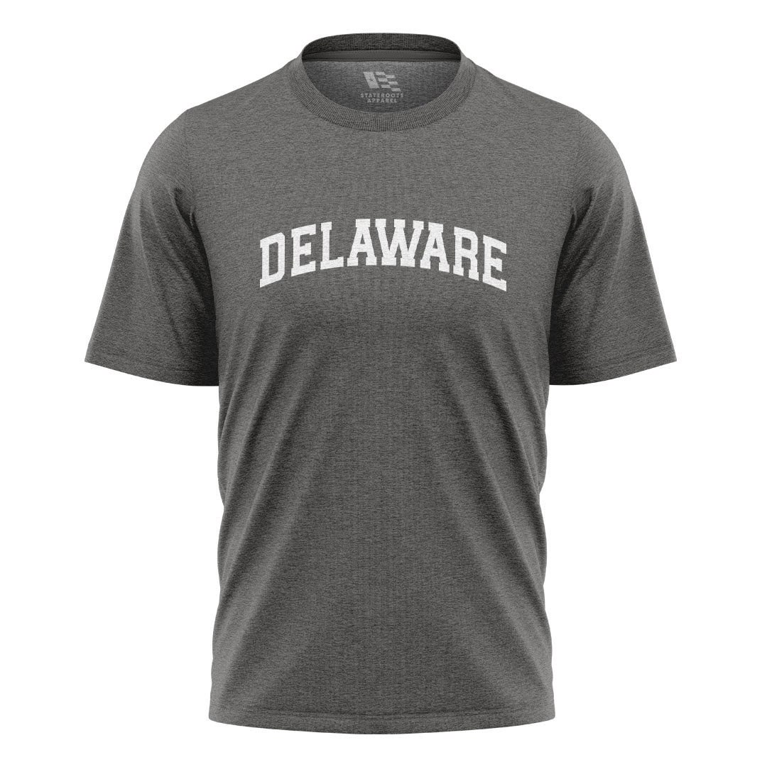 Delaware Varsity Arch T-Shirt charcoal front