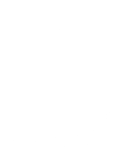 North Carolina Themed T-Shirt | NC Commemorative Tee