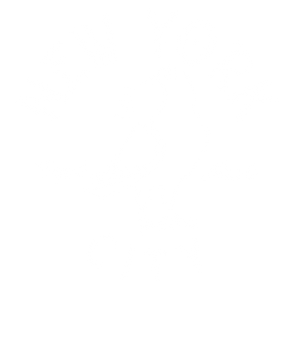 New York Dove Graphic T-Shirt | Bold Lettering Style Tee