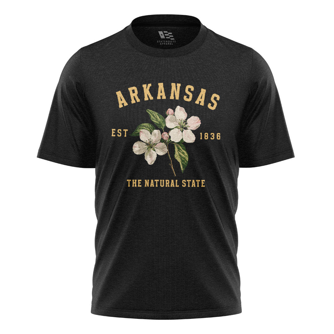 Arkansas Est 1836 Natural State Tee - Black flatlay