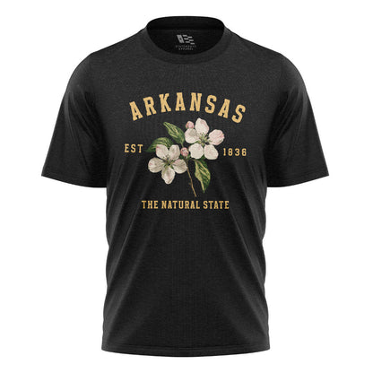 Arkansas Est 1836 Natural State Tee - Black flatlay