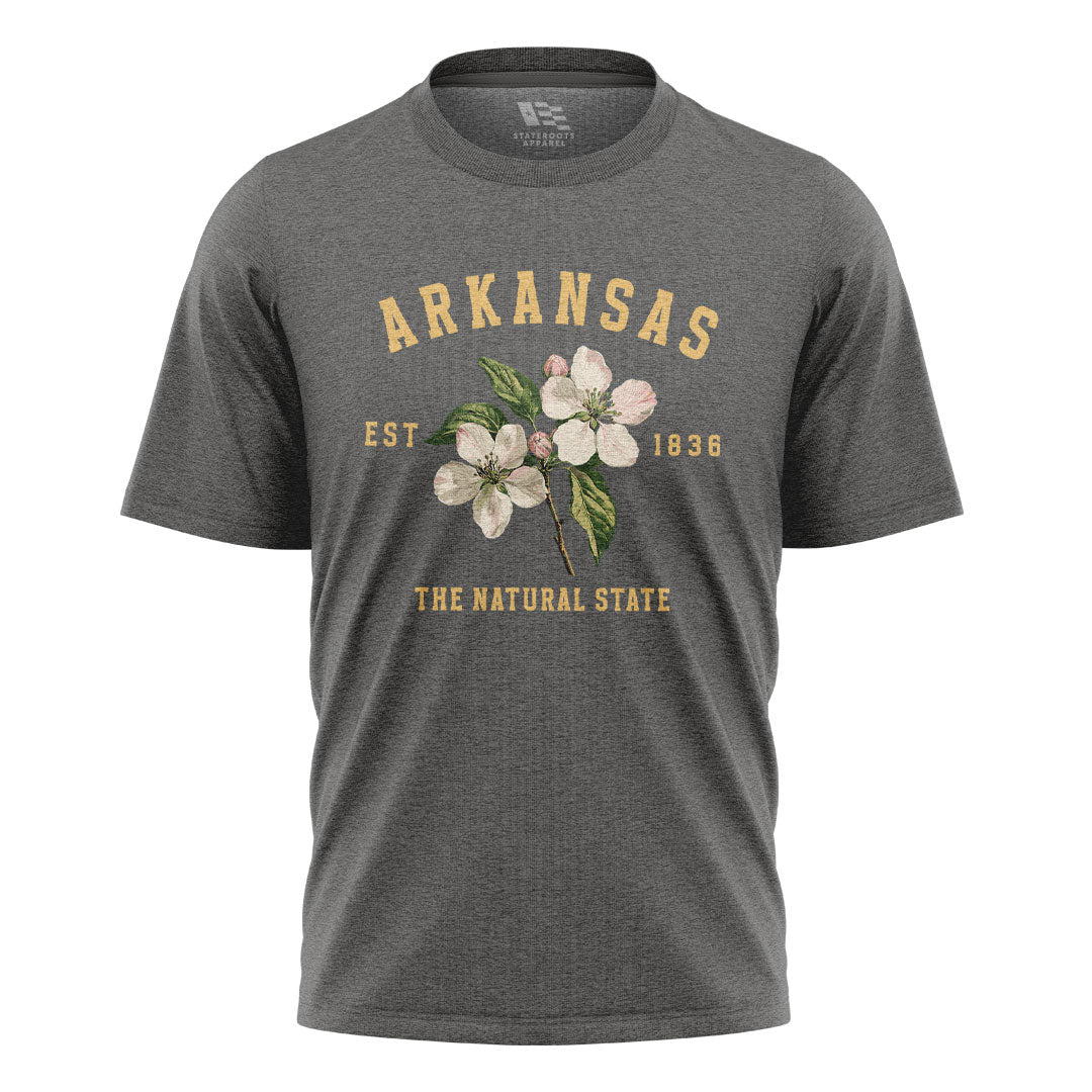 Arkansas Est 1836 Natural State Tee - Charcoal flatlay