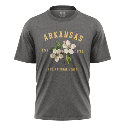 Arkansas Est 1836 Natural State Tee - Charcoal flatlay