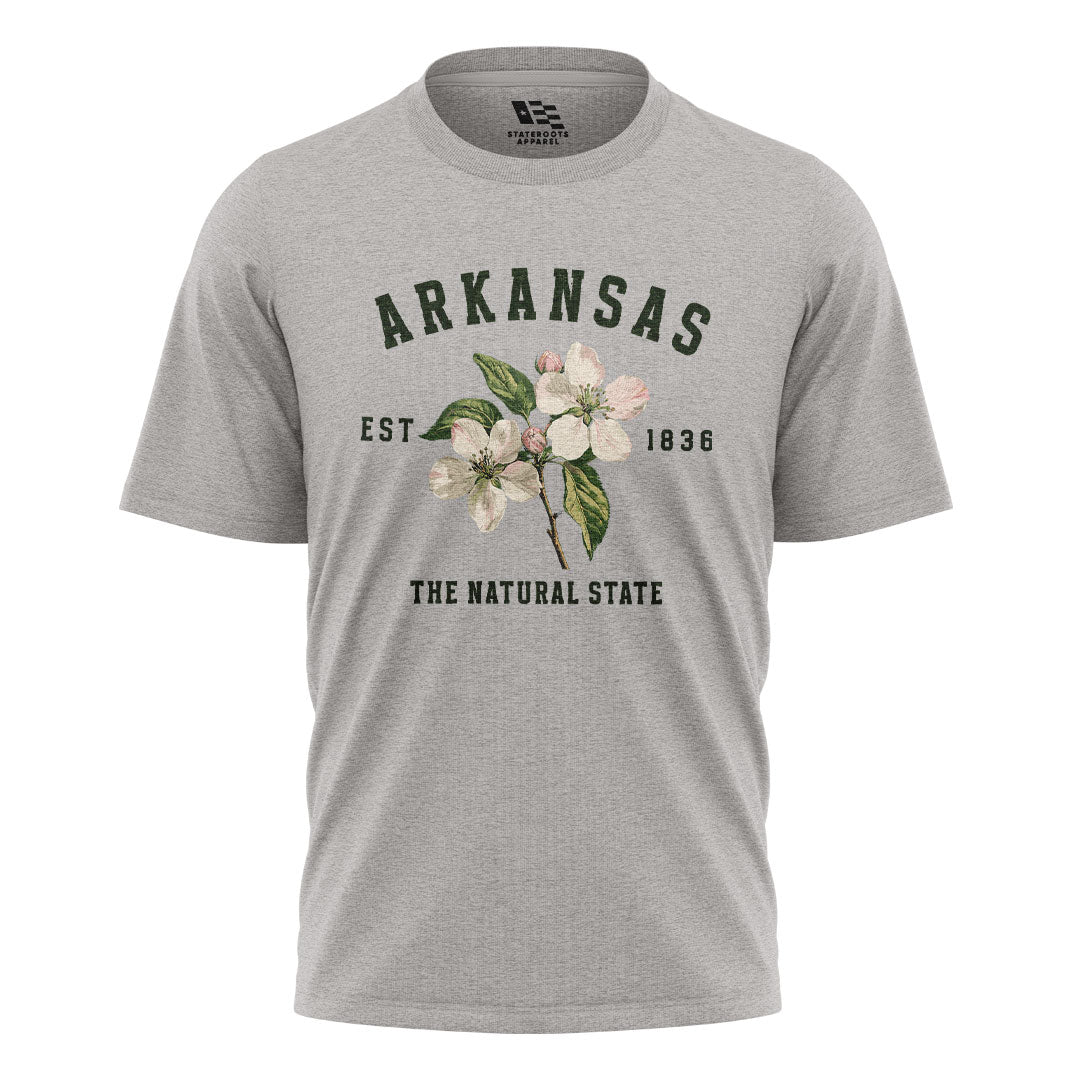 Arkansas Est 1836 Natural State Tee - Sport Grey flatlay