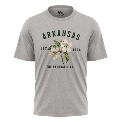 Arkansas Est 1836 Natural State Tee - Sport Grey flatlay