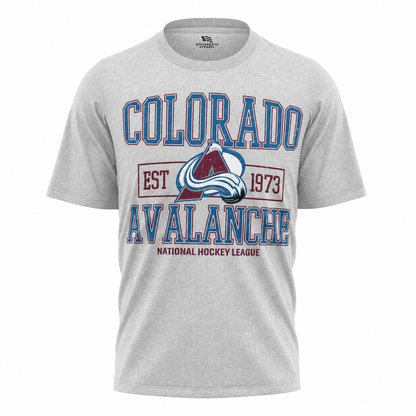 Colorado Avalanche Hockey T-Shirt | CO Sports Fan Tee