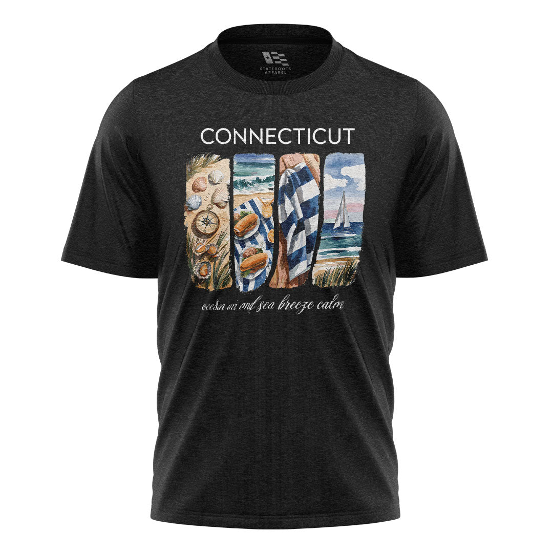 Connecticut Coastal Watercolor T-Shirt | Beach Scene Tee - Black