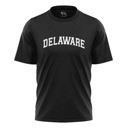 Delaware Varsity Arch T-Shirt black front