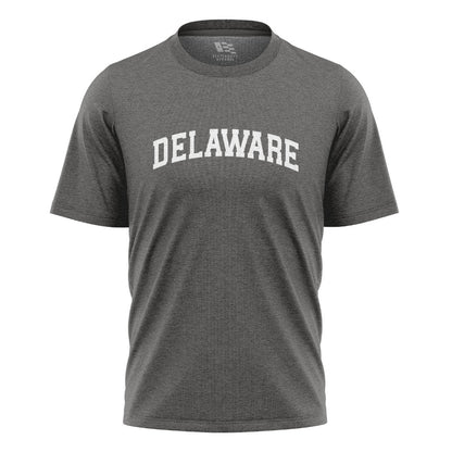 Delaware Varsity Arch T-Shirt charcoal front