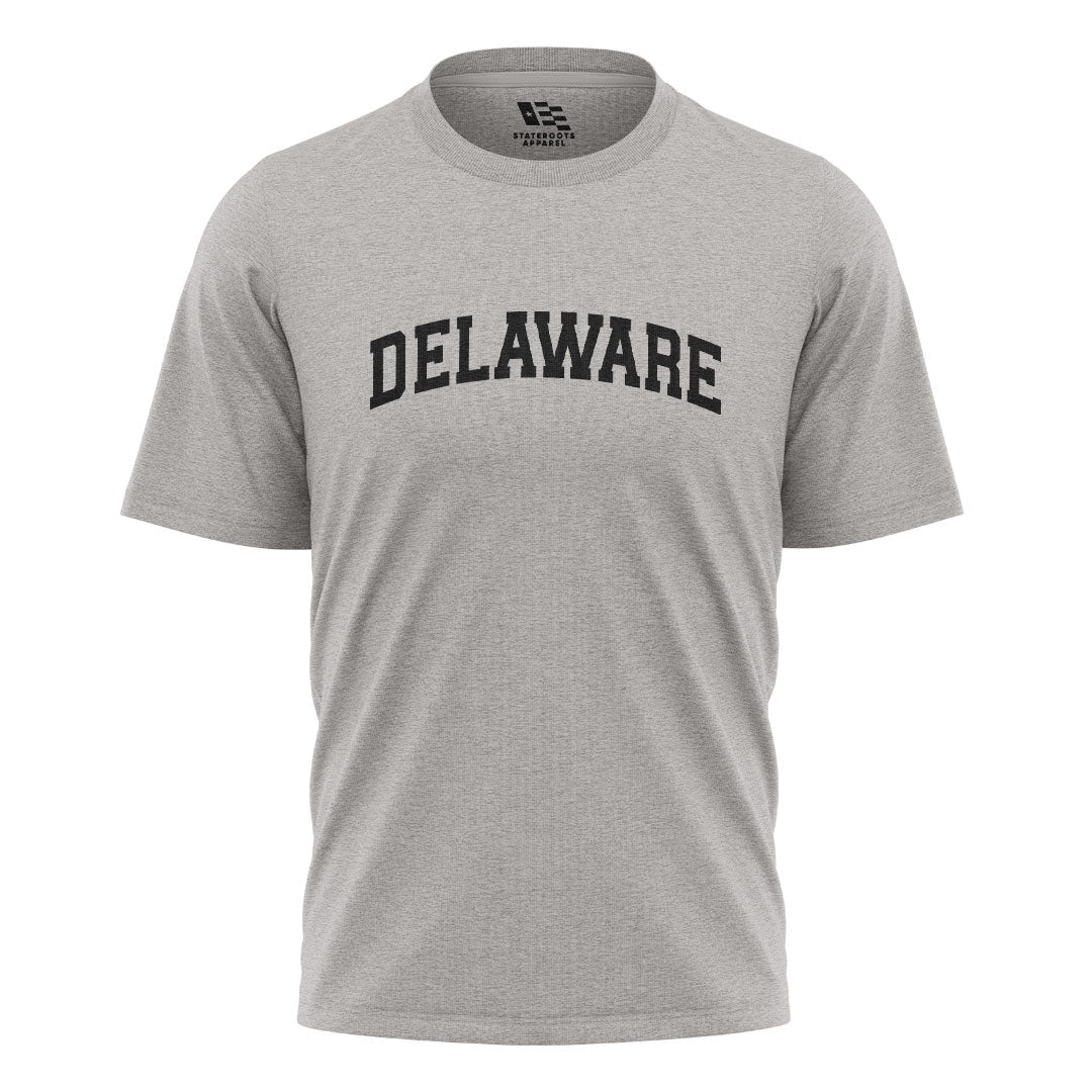 Delaware Varsity Arch T-Shirt sport-grey front