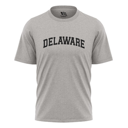 Delaware Varsity Arch T-Shirt sport-grey front