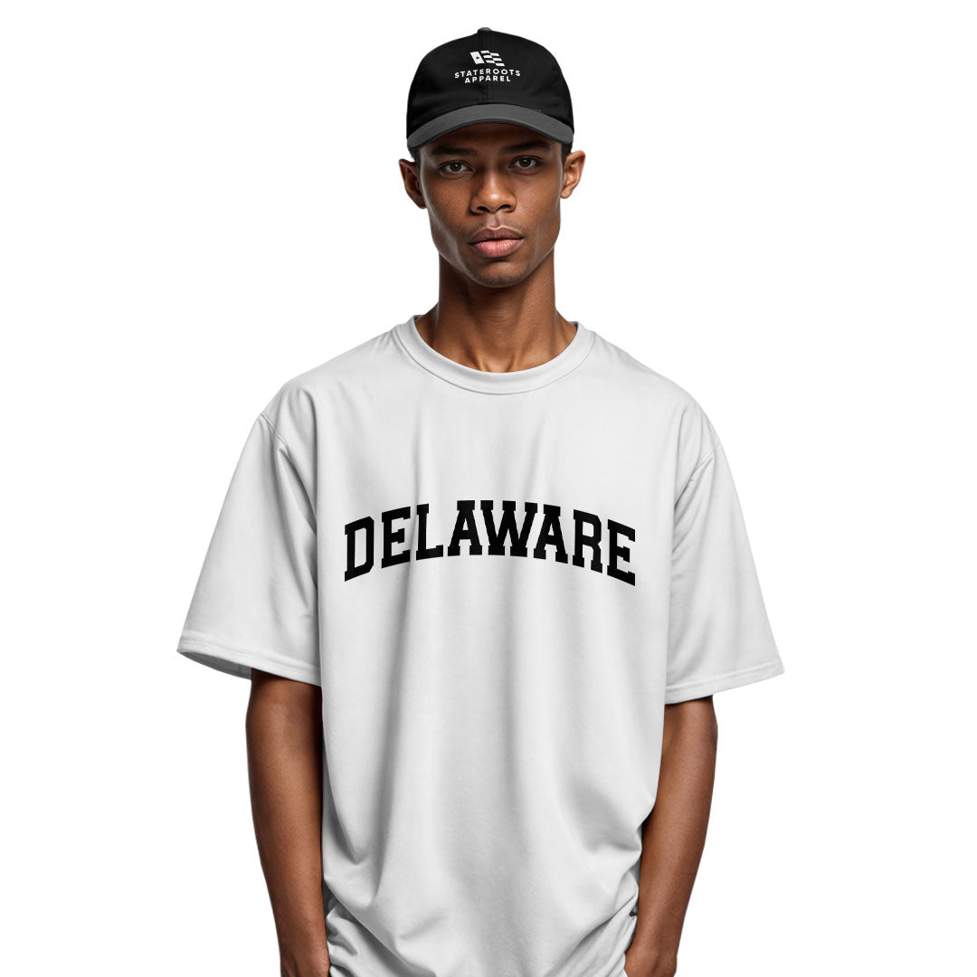Delaware Varsity Arch T-Shirt white model