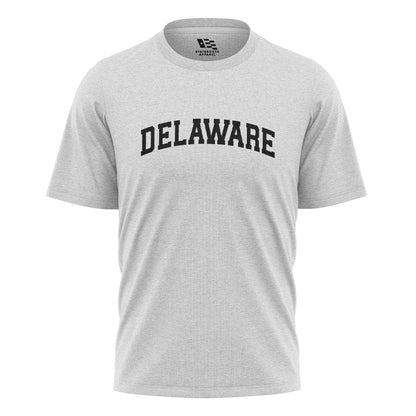 Delaware Varsity Arch T-Shirt white front
