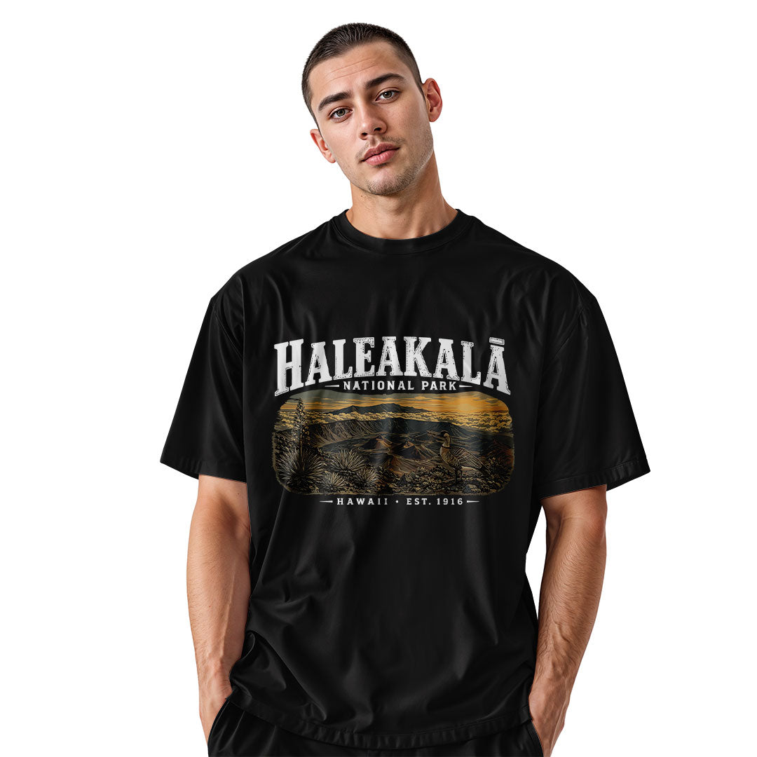 Haleakala National Park Hawaii Tee - Black view