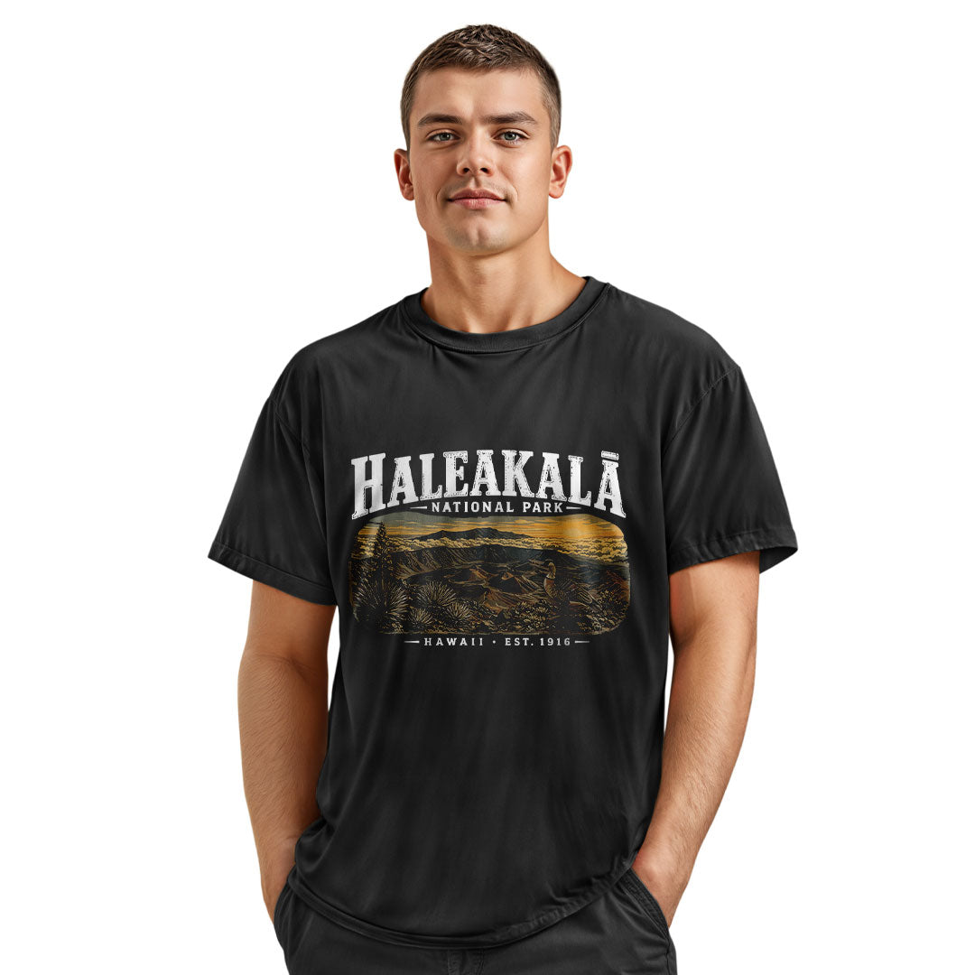 Haleakala National Park Hawaii Tee - Charcoal view