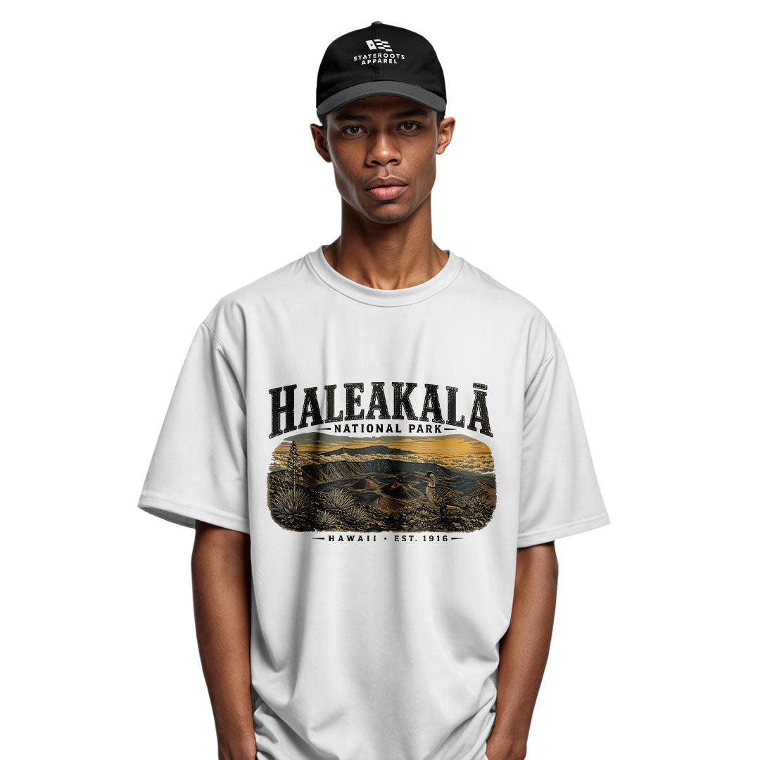 Haleakala National Park Hawaii Tee - Sport Grey view